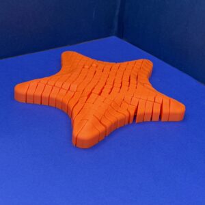 Flexi Starfish