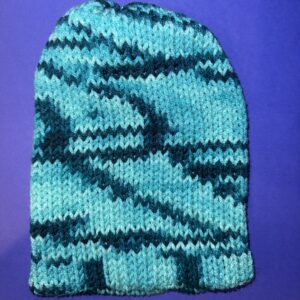 Hat - Teal - Youth